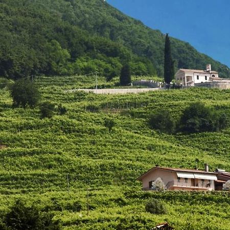Casa Bortolin Bed & Breakfast Valdobbiadene Luaran gambar